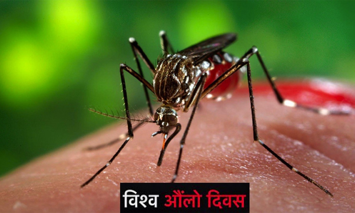 आज विश्व औ‌‌लो दिवसः विभिन्न कार्यक्रम गरि मनाइँदै