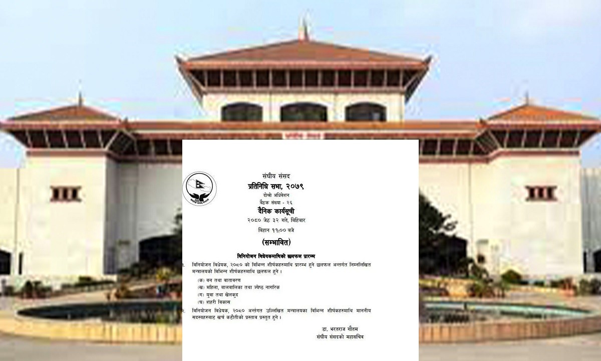 प्रतिनिधिसभा बैठकमा बजेटमाथि मन्त्रालयगत छलफल हुँने