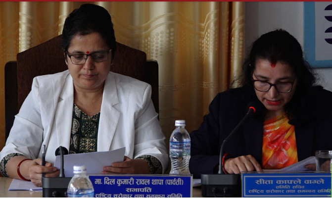 राष्ट्रिय सरोकार समितिको बैठकः योजना आयोग र गृह मन्त्रालयको विवरणमाथि छलफल