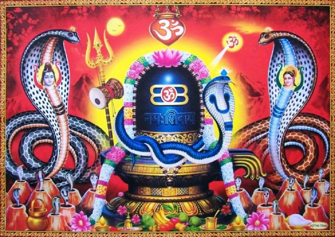 आज श्रावण शुक्लपक्ष अर्थात नागपञ्चमीः घर घरमा नाग टाँसिदै