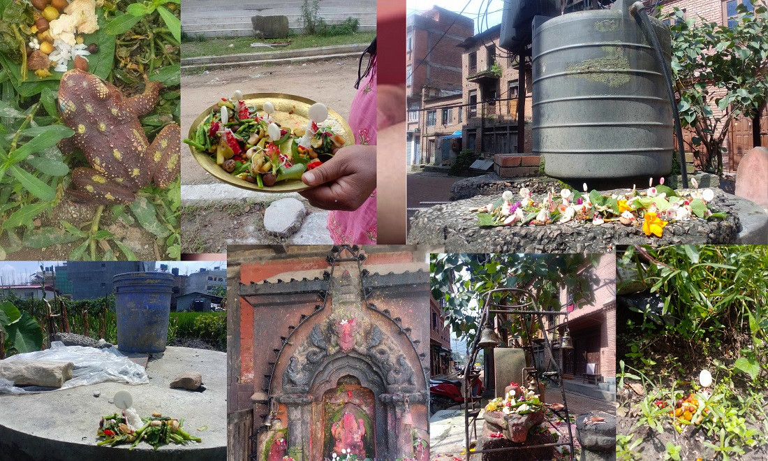 भक्तपुरका भ्यागुतालाई भोज (फोटो फिचर)