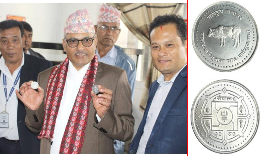 गाईको चित्र अङ्कित ‘मेडालियन सिक्का’को बिक्री वितरण सुरु, कति पर्छ मूल्य ?