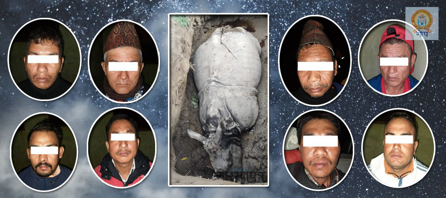 गैँडा मार्न बिस दिनको योजना, निकुञ्जमै मचान बनाएर सबै बन्दोबस्त