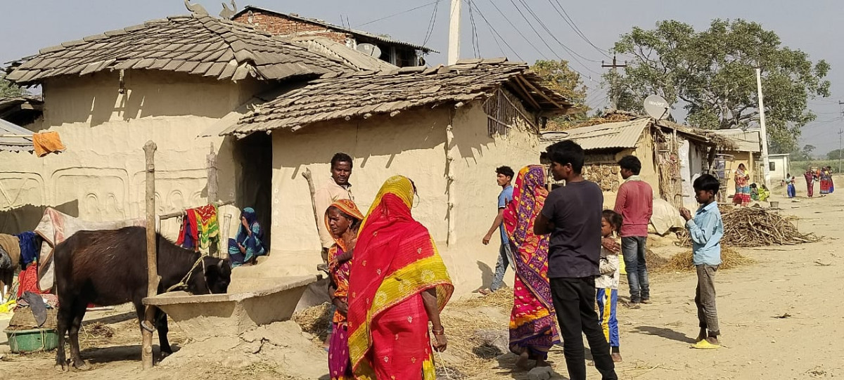 तीन पुस्तादेखि बस्दै आएको मुसहरबस्तीमा जमिनदारको गिद्धे नजर, बस्ती उठाउने षड्यन्त्रले स्थानीय त्रसित