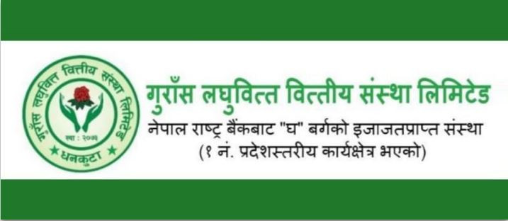 पहिलो त्रैमाससम्म आइपुग्दा बढ्यो गुराँस लघुवित्तको नाफा