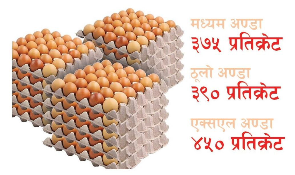 तोकियो अण्डाको बिक्री मूल्य, कसको कति ?