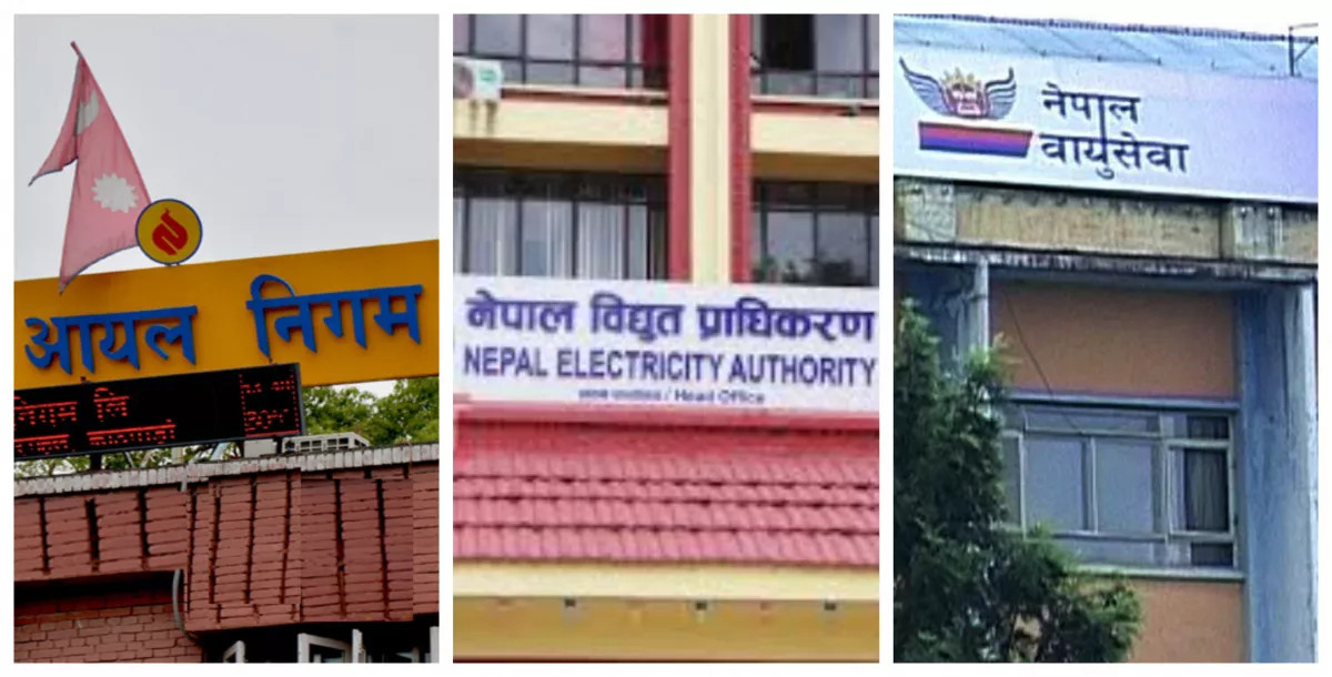 आयल निगम, विद्युत् प्राधिकरण र नेपाल वायुसेवा निगम नाफामा