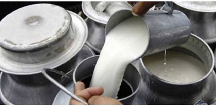 दूध उत्पादक किसानलाई प्रोत्साहनस्वरुप ४३ लाख अनुदान  वितरण