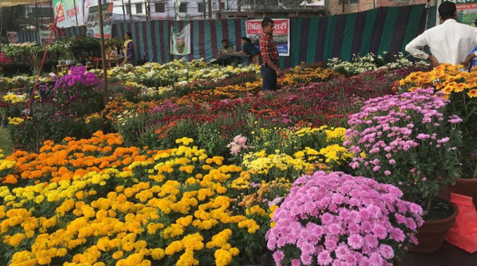 जावलाखेल मैदानमा गोदावरी पुष्पमेलाः तीन दिनमा ९० लाखको कारोबार