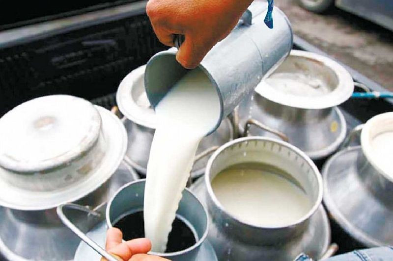 दूध बेचेर मासिक ९० हजार बचत