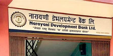 नारायणी डेभलपमेन्ट बैंकको सीईओमा पशुपति पौडेल
