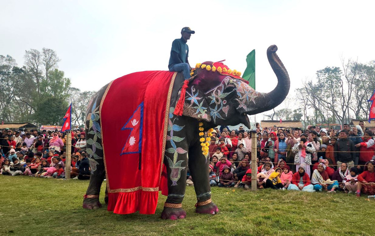 चितवनको सौराहामा भएको १९औँ संस्करणको ‘हात्ती तथा पर्यटन महोत्सव’ सम्पन्न